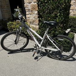 Womens Trek Bicycle