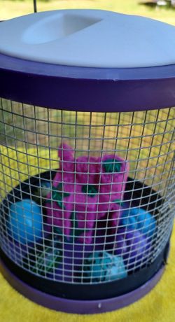 Hermit crab cage