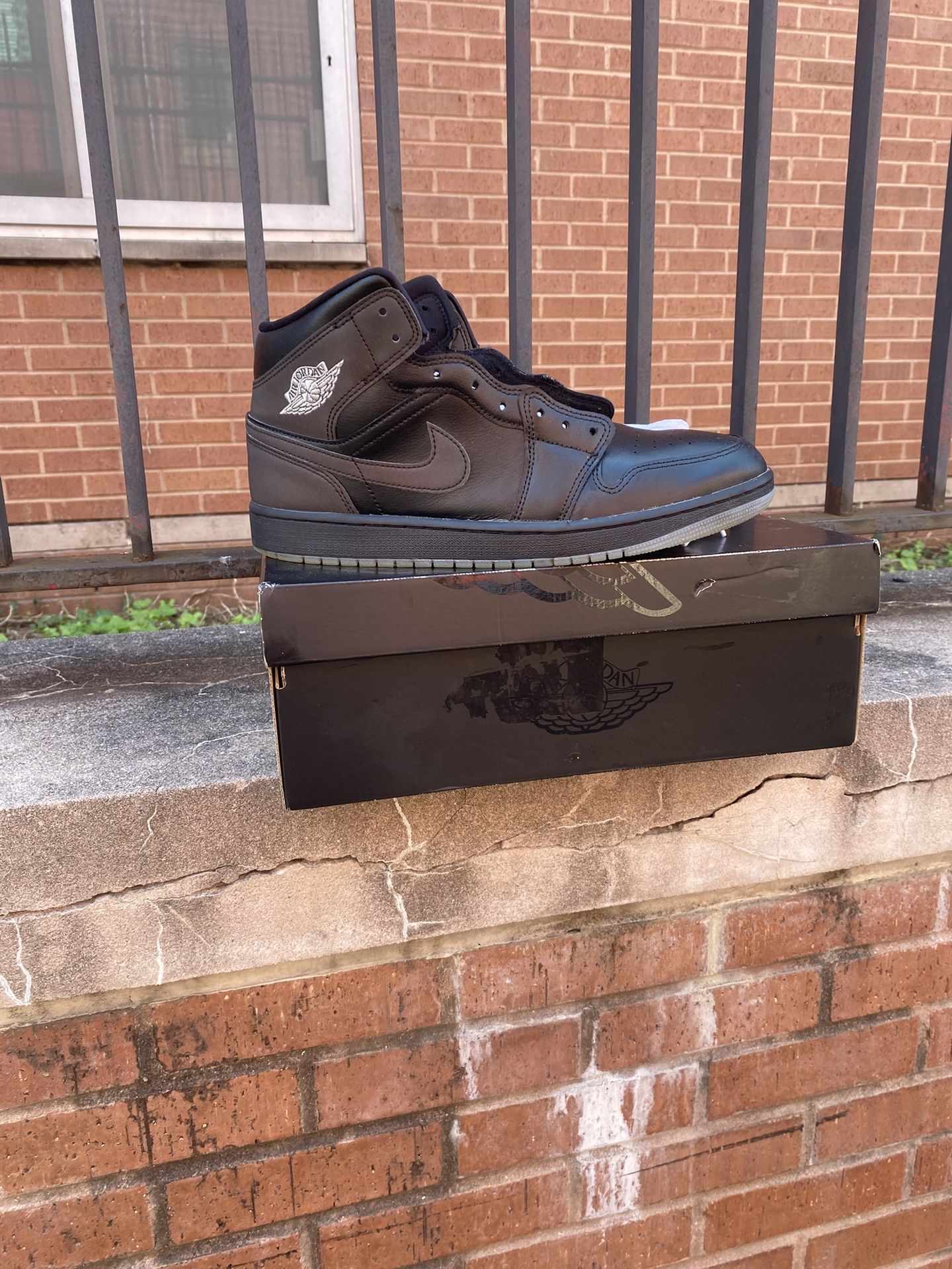 Metallic Jordan 1 Size 12