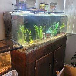 Overflow Fish Tank