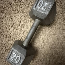 20 Pound Dumbbell 