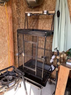 Bird Cage