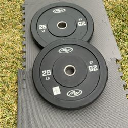 Weights/ Bumper Plates