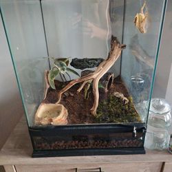 Reptile Tank 