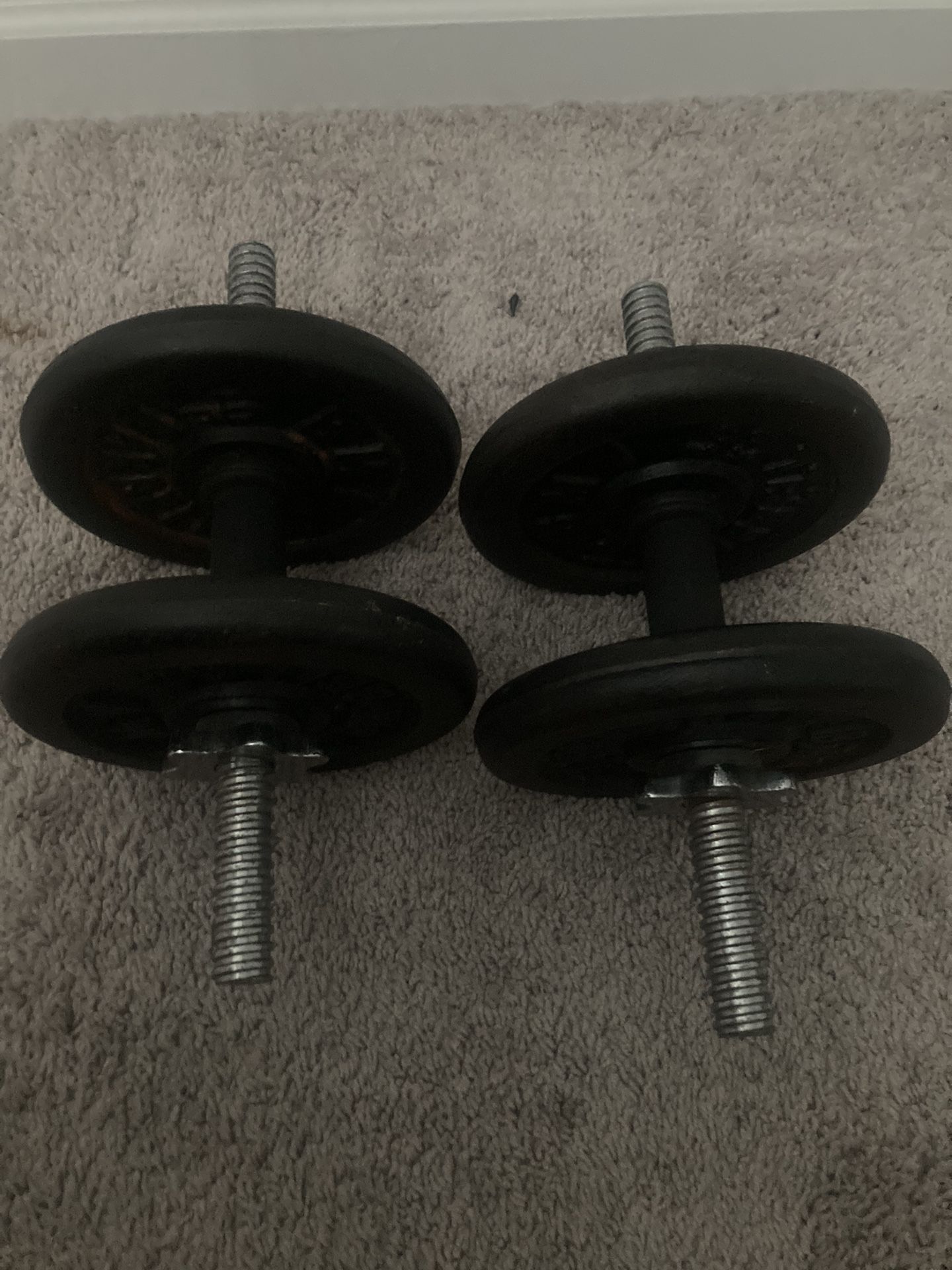 20 LB Dumbbells