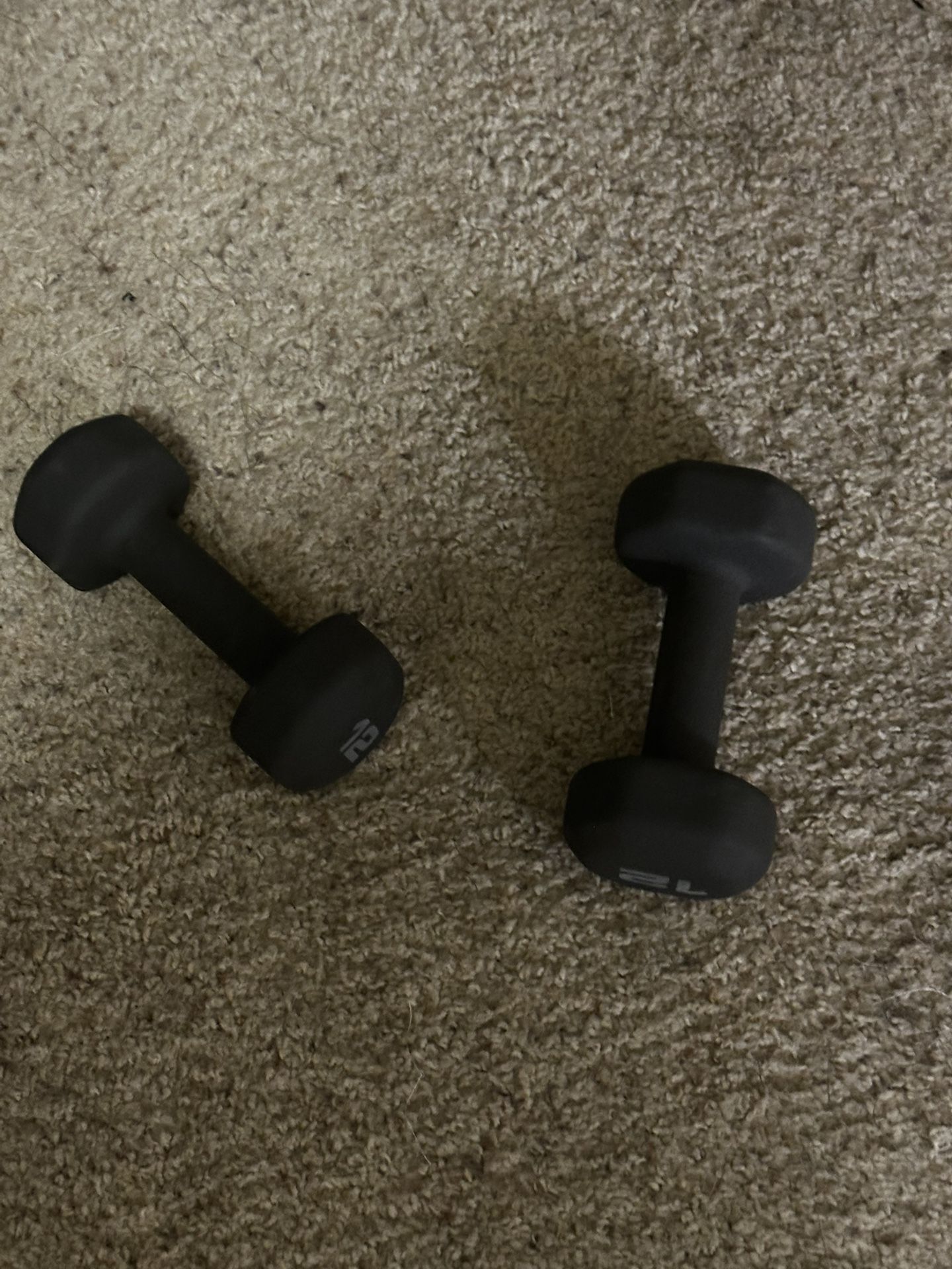 12 Pound Weights