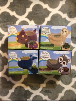 Ceramic planters great for succulents