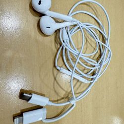 Brand New 2-in-1 Earphones with USB-C and Lightning Adapter