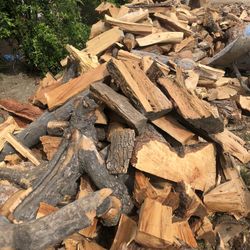 Firewood