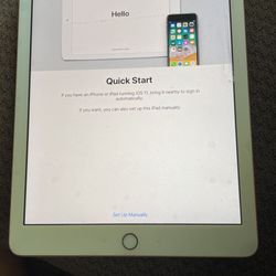 Rose Gold iPad Air 2 