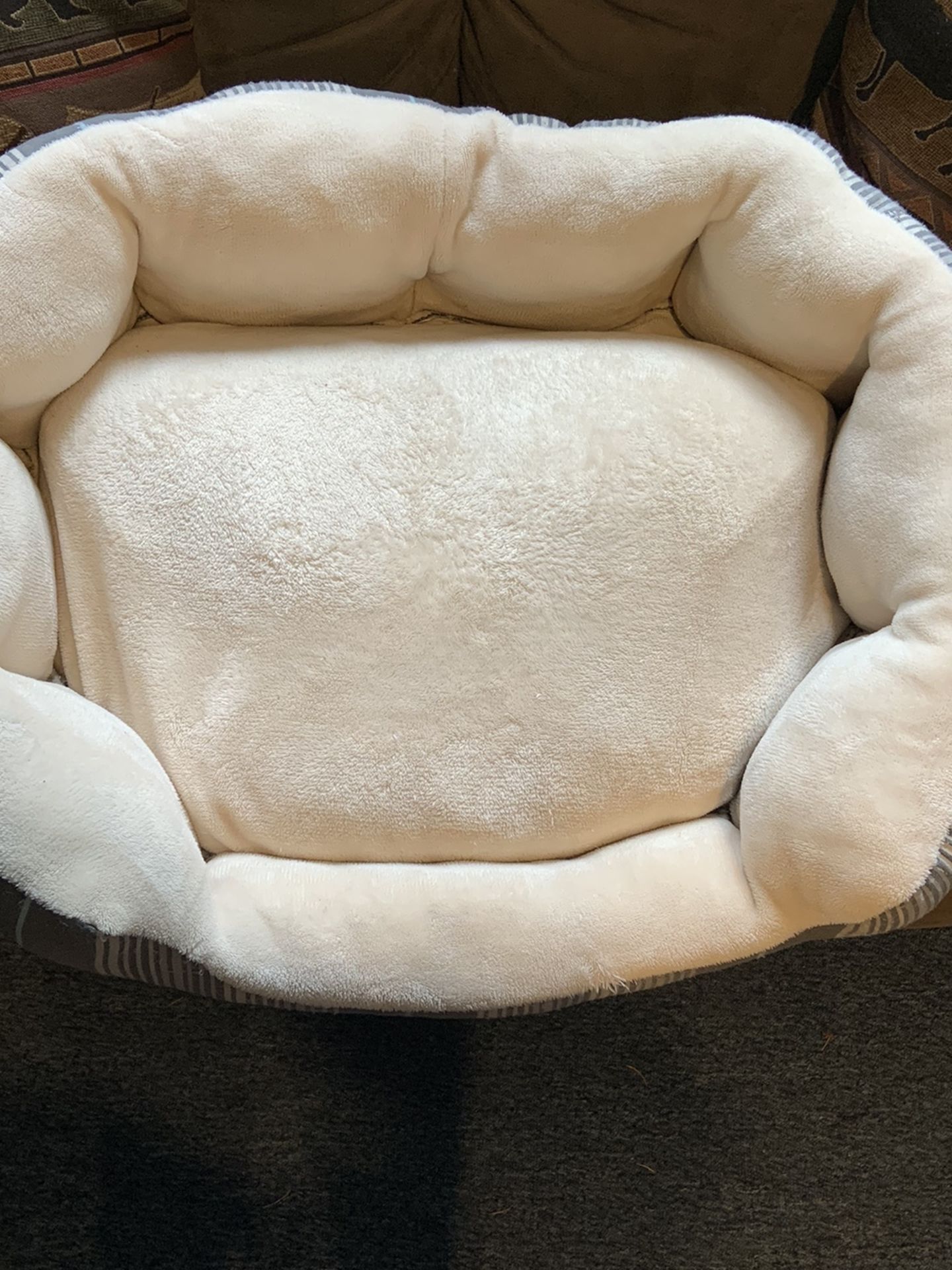 Dog Bed (small to medium)