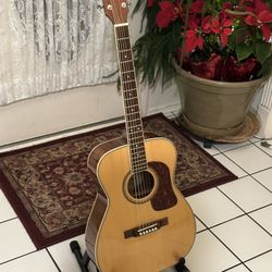 Washburn F10S Folk Sized Acoustic Guitar