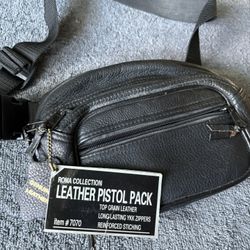 Pistol Carrying Case