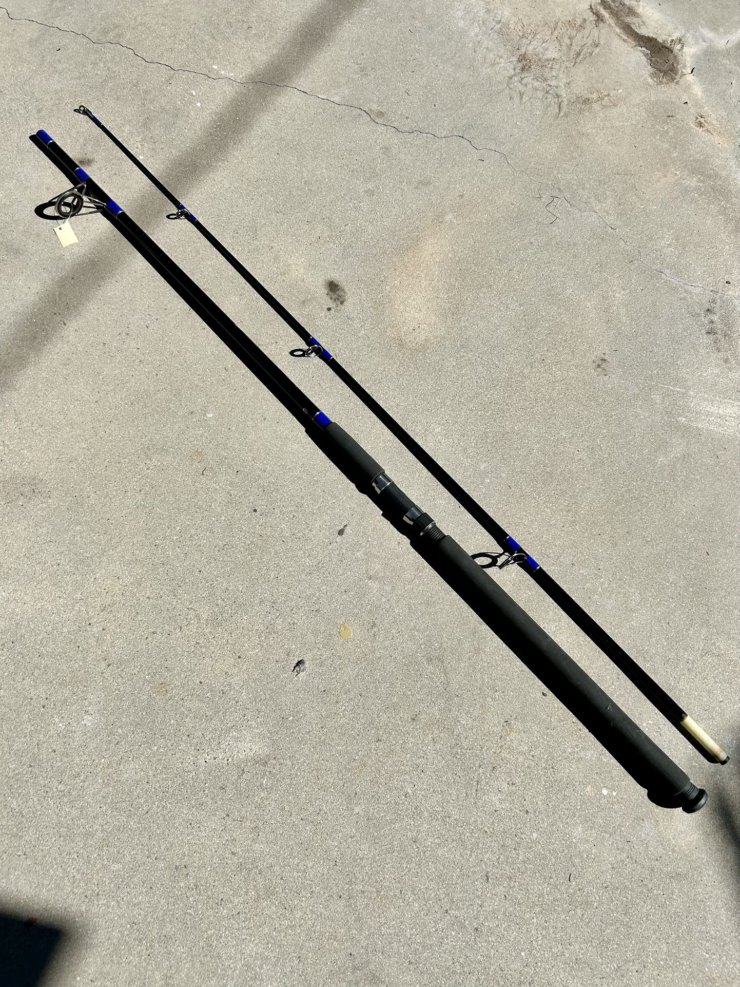 New 10’ Salt Water Rod Fishing Pole
