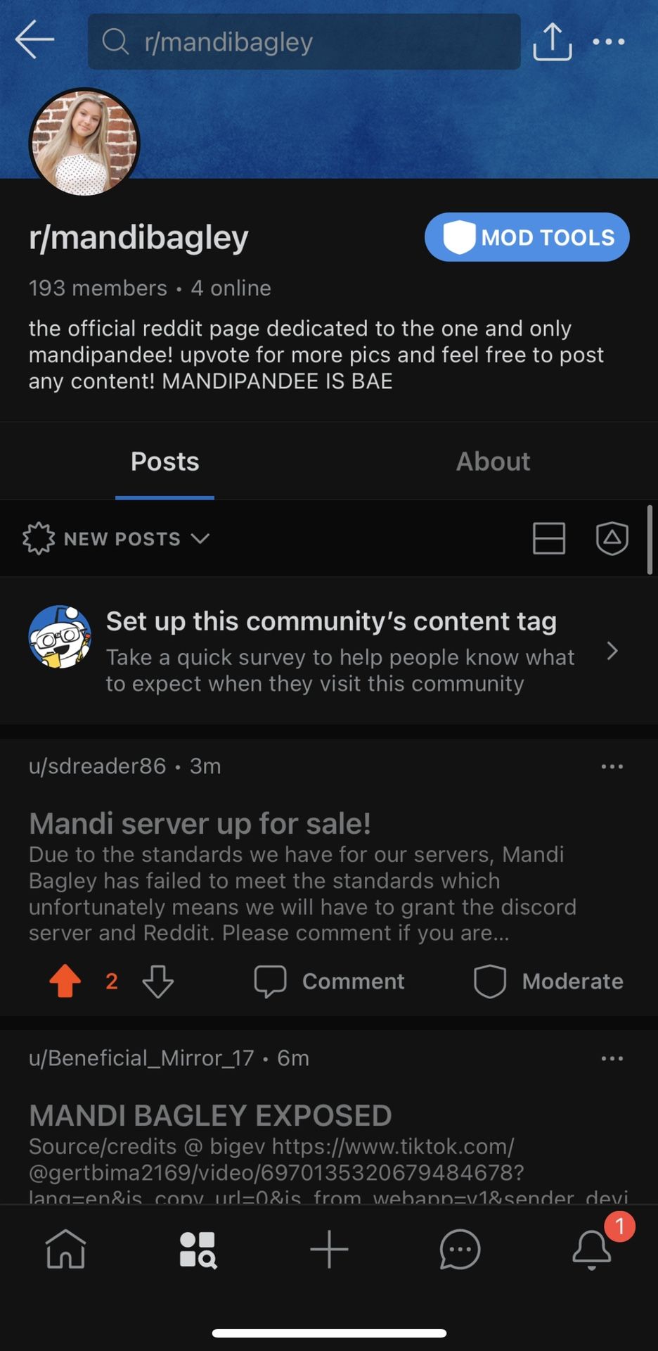 Mandi Bagley (mandipandee) Reddit Sever For Sale