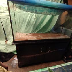 55 Gallon Aquarium With Black Wood Stand