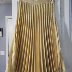 Zara XS Midi Skirt