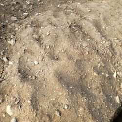 Dirt With Rocks. FREE!  FREE!! FREE!!!