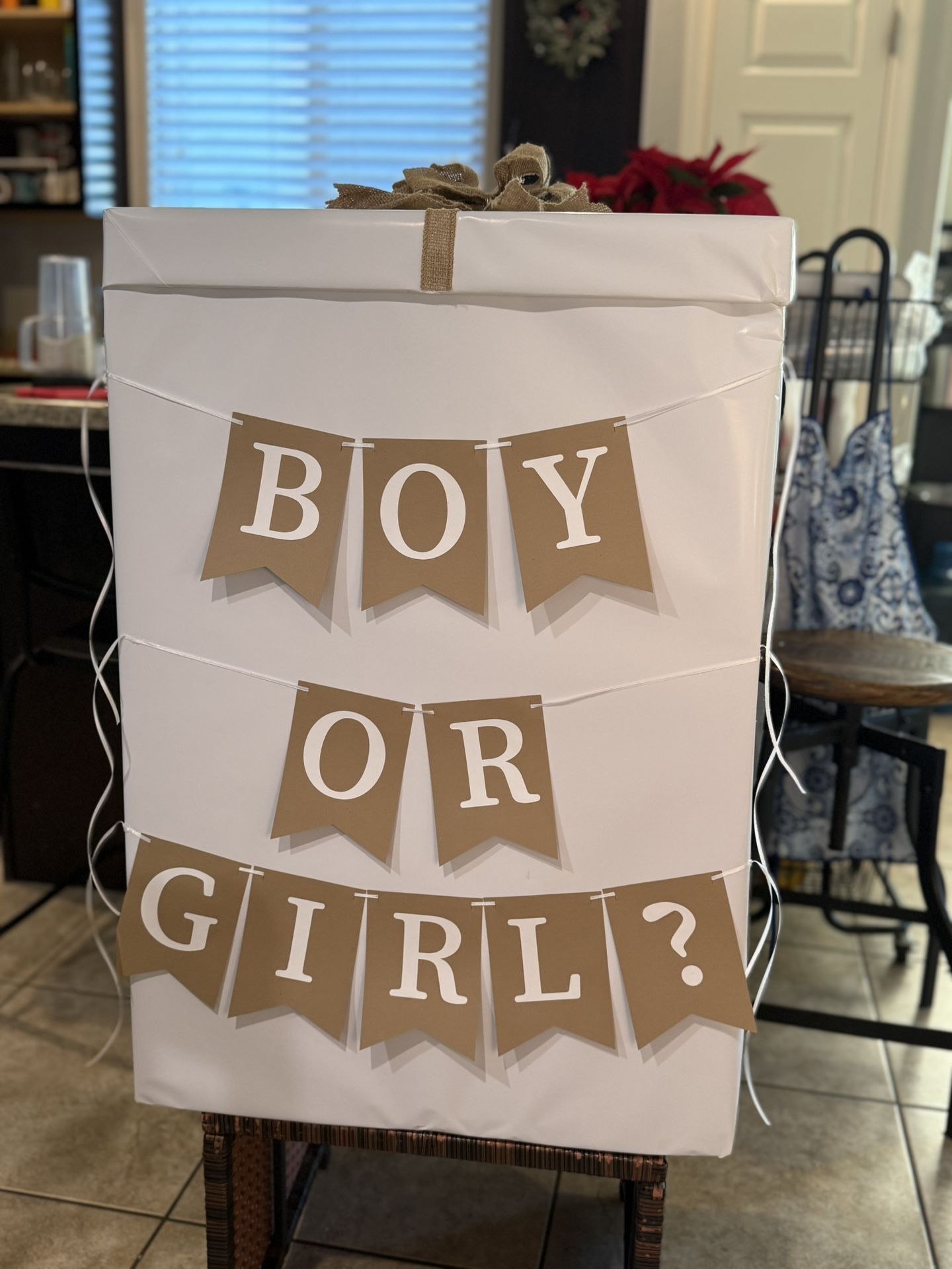 Gender Reveal Box