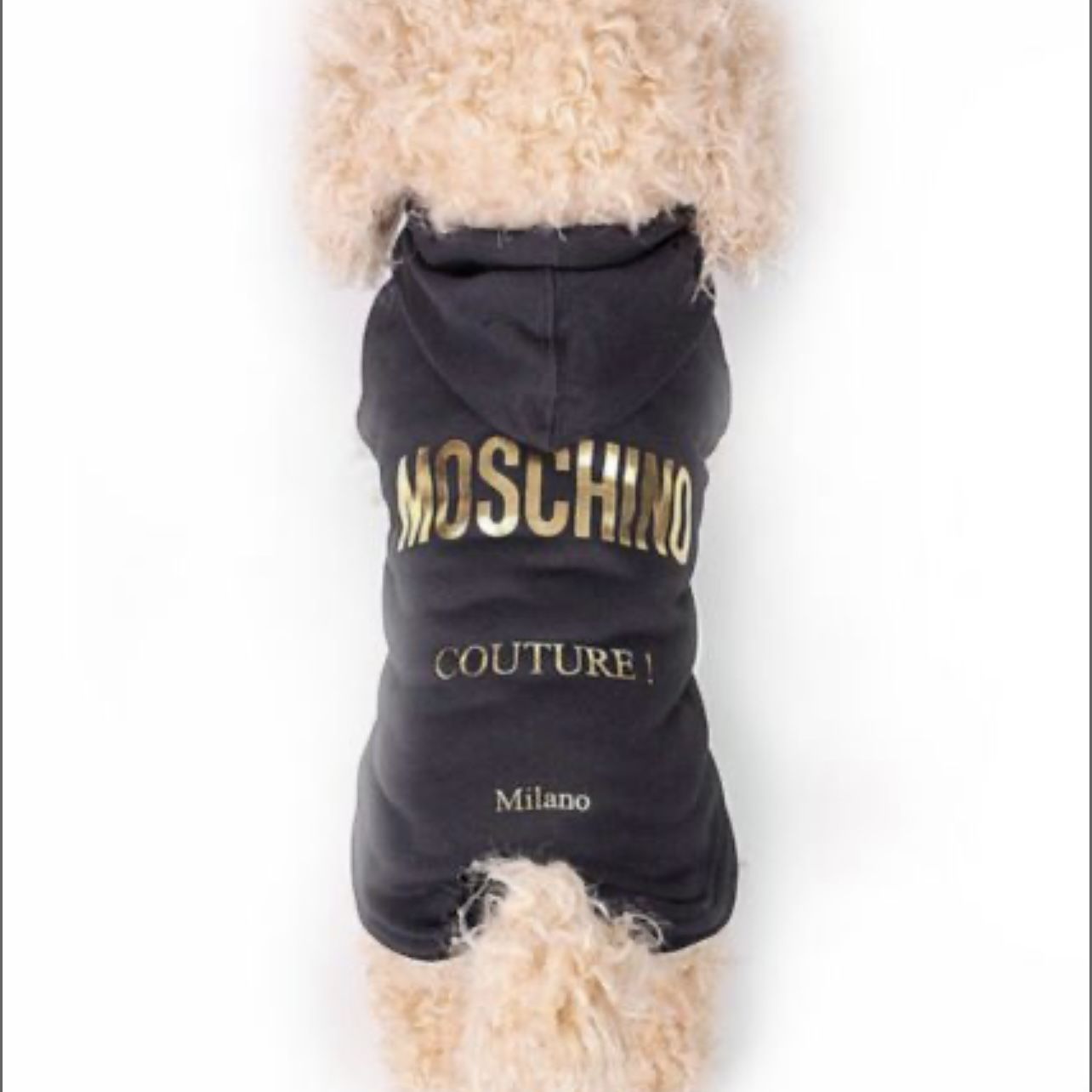 Moschino Pet Hoodie Blouse Sweater Sweatshirt Top Jacket Bomber Dog Jacket