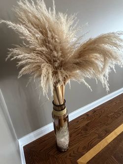 Pampas with vase