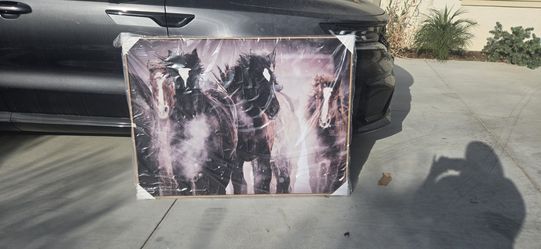 Horse Canvas Painting