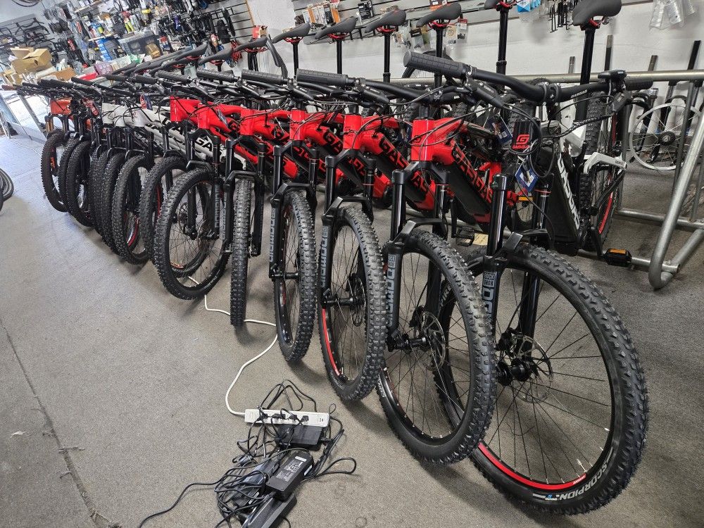 Electric Bikes 