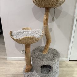 Cat Tree 