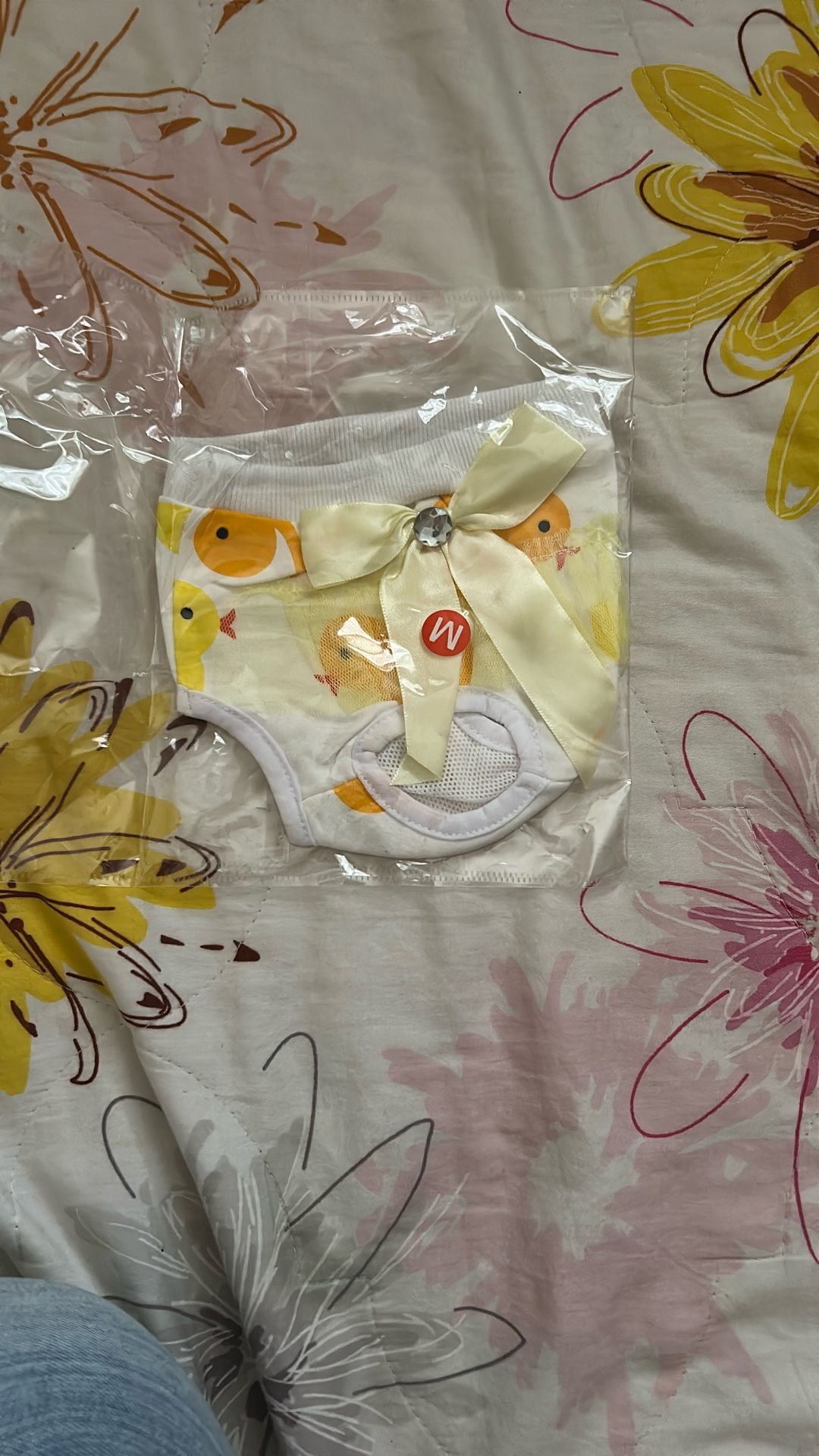 dog panties