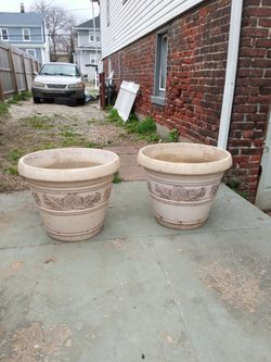 Plant pots