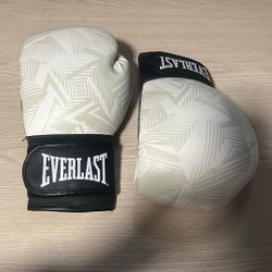 Everlast Gloves
