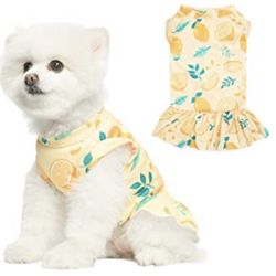 Brand New Summer Dress For Small Dog Or Cat