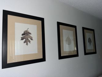 Wall Decor Large Pictures in Frame 21x25