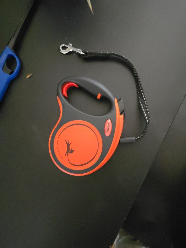 Dog Leash $30