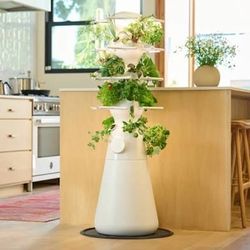 Indoor farmstand