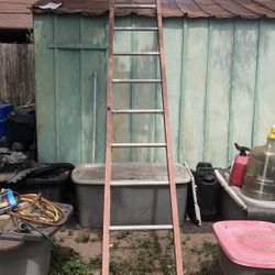 Werner 10 Ft Fiberglass D Run Straight Ladder With 300 Lbs Load Capacity Type IA Duty Rating