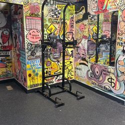 Pull up Bar/Lower abs/Dip Stand 