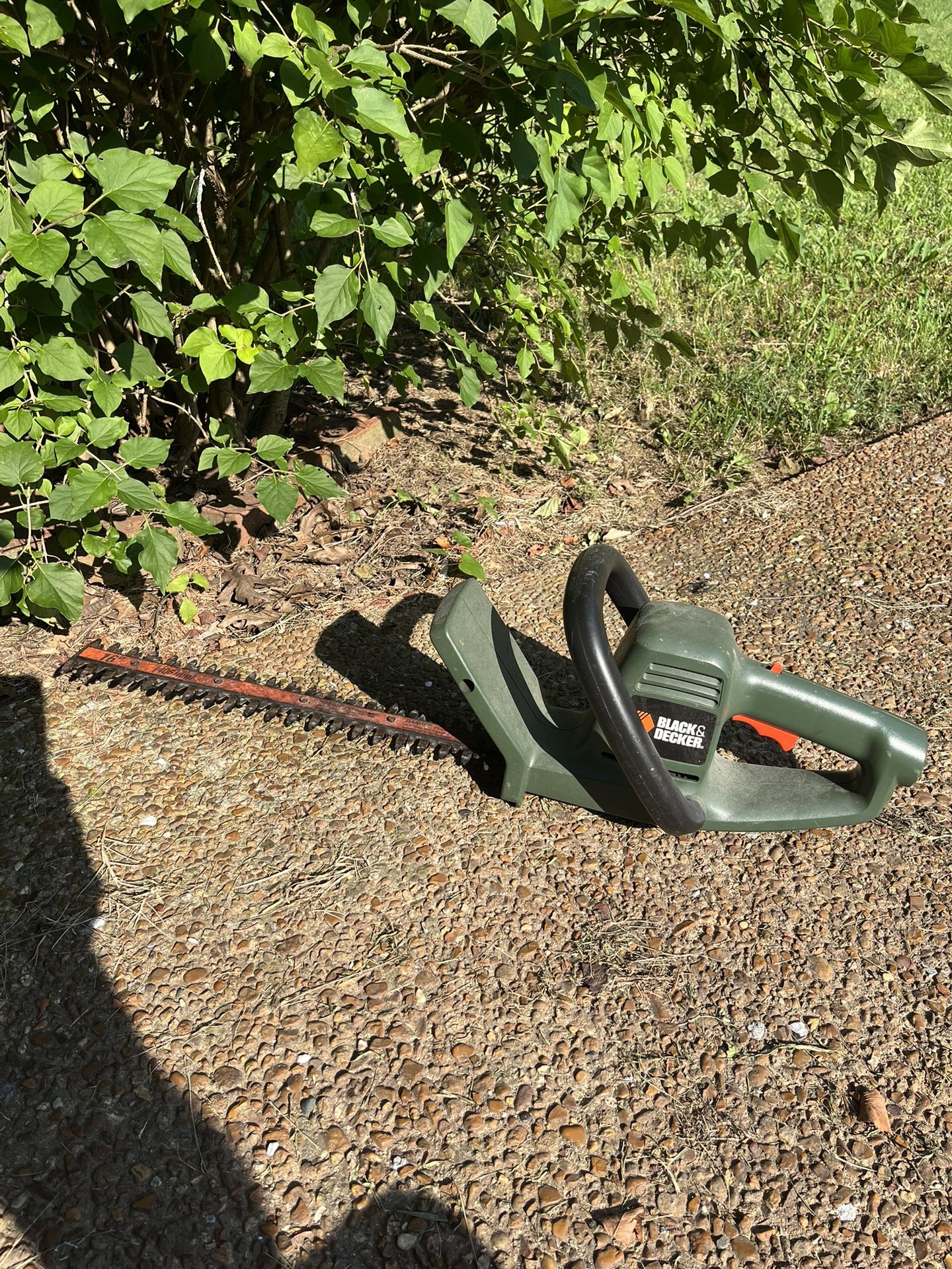 Bush Trimmer 