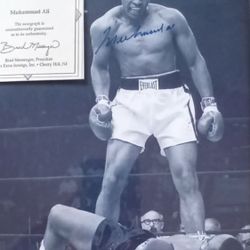 Float Like A Butterfly Sting Like A Bee