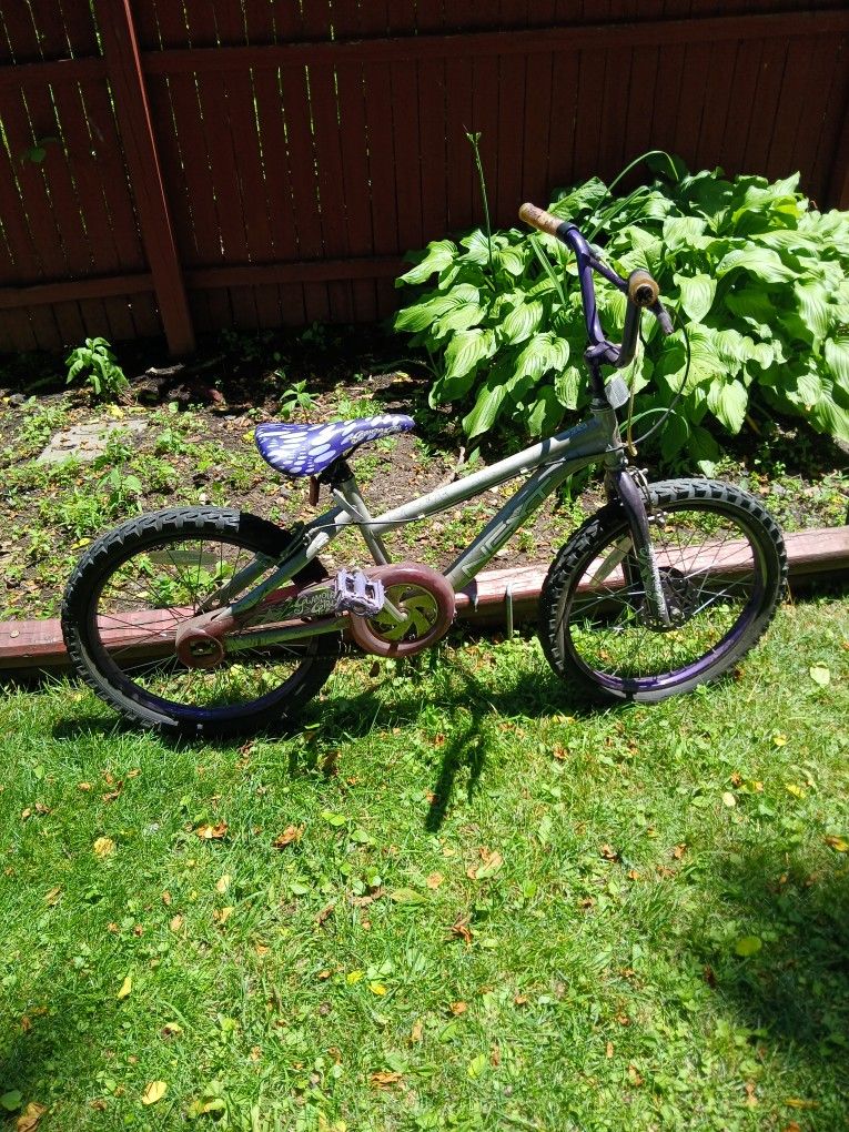25 Inch Bicycle