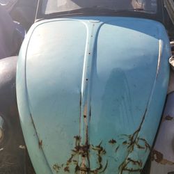 Vw Hood