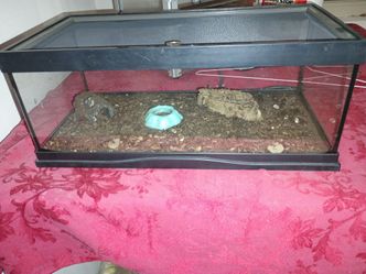 TERRARIUM