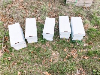 Nucs Bee Pnw Beekeeping