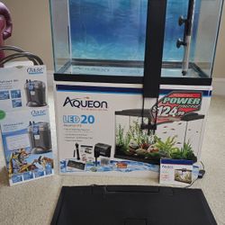 20-Gallon Aquarium - Complete Setup