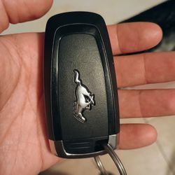 Mustang Key