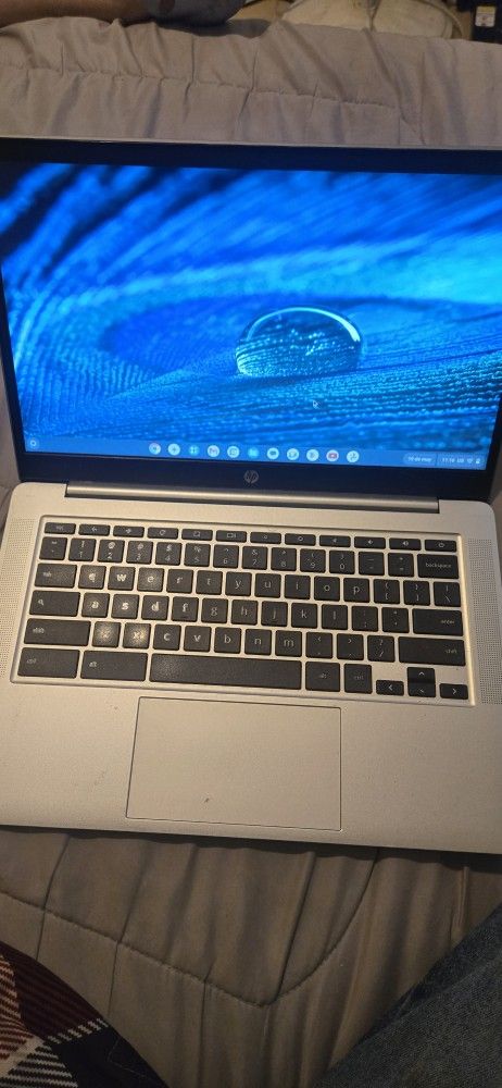 Hp Laptop Work Perfect