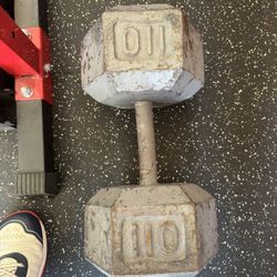 110 Lb Dumbells 