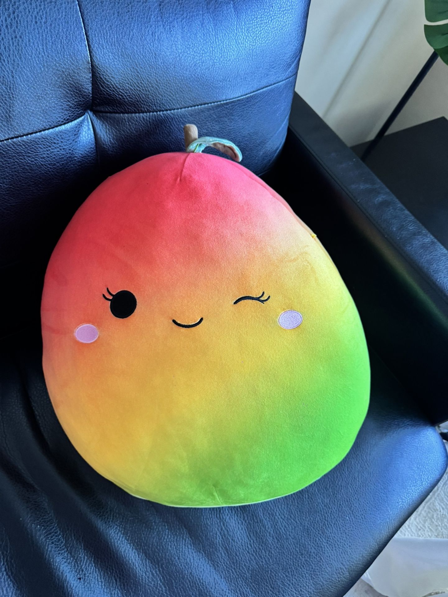 Mango Squishy Mellow Pillow