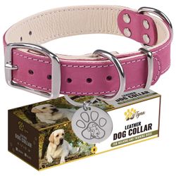Leather Dog Collar