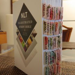 Get to God's Word More Easily with these Pretty Bible Tabs! 16